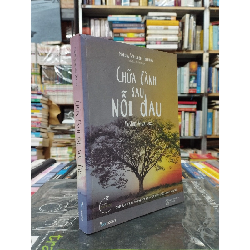 Chữa lành sau nỗi đau - Martha Whitmore Hickman 121771