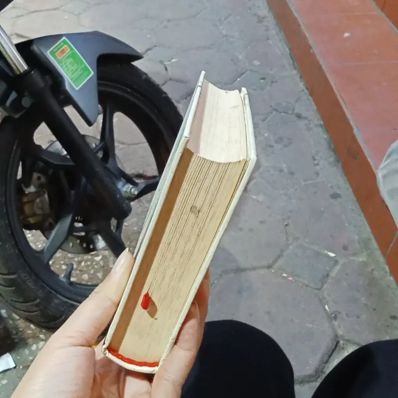 Duyên - Bạch Lạc Mai 935263