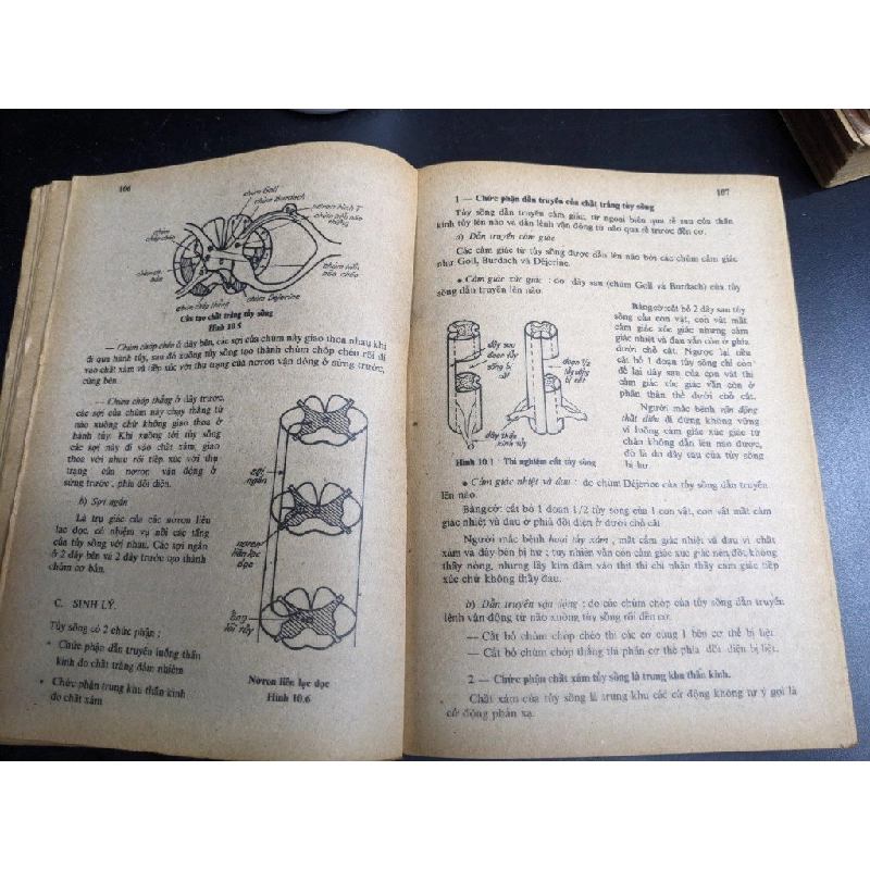 Vạn Vật 12A Giáo Khoa & Trắc nghiệm - Bạn Giáo Sư Vạn Vật 396021