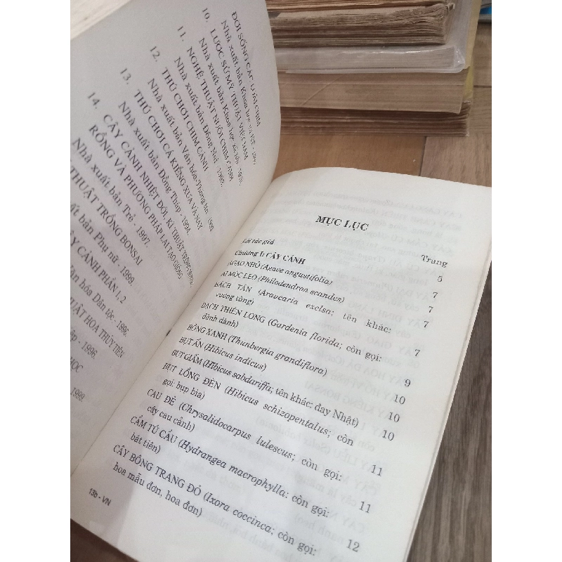 Vườn nhà - Huỳnh Thị Dung, Nguyễn Vũ 994500