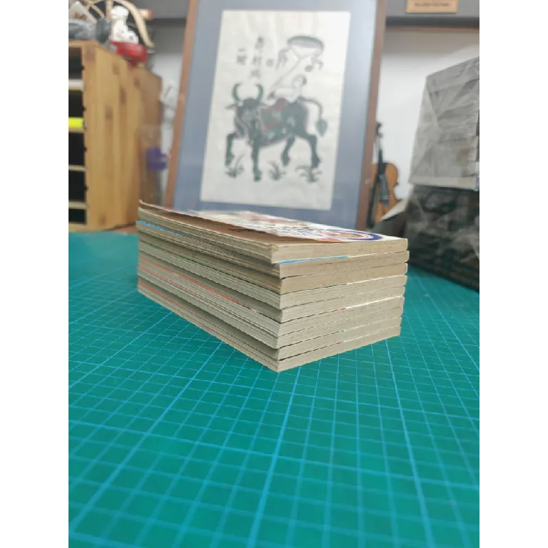 Truyện tranh Cô Nàng Đẹp Trai - Wataru Yoshizumi 119911