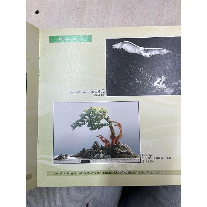 Hương sắc Đồng bằng 752035