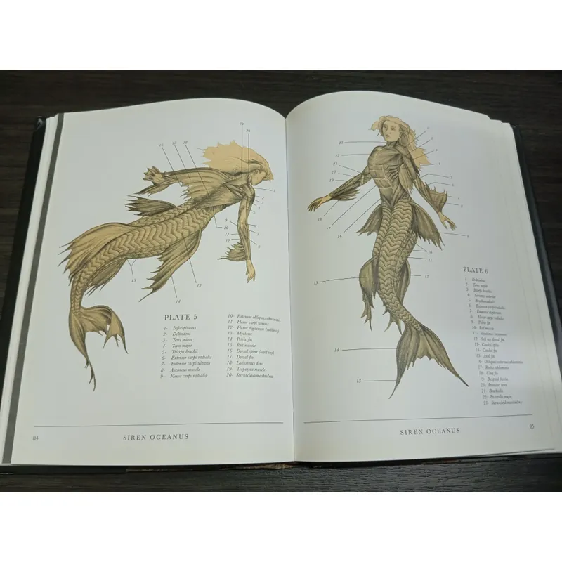 The resurrectionist, sách ngoại văn tiếng Anh, english book  731775