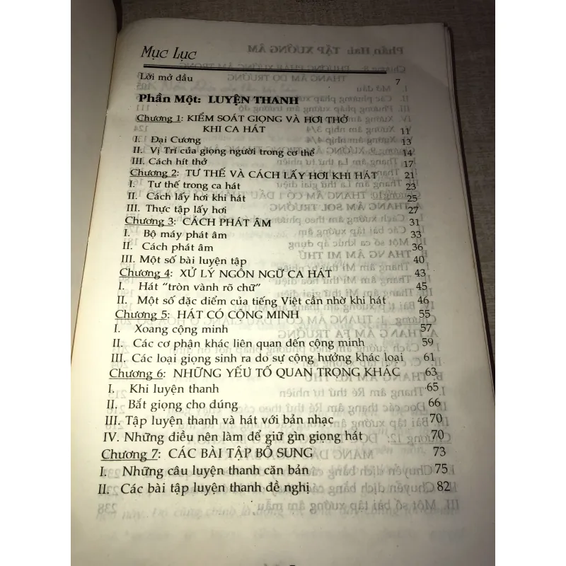 Để thành công trong nghệ thuật ca hát 996386