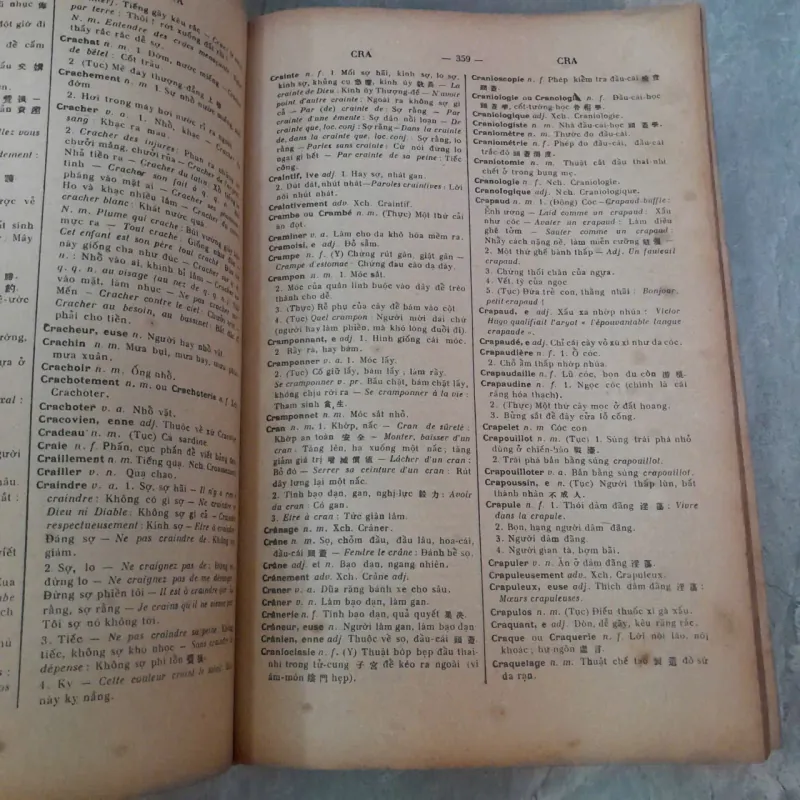 PHÁP VIỆT TỪ ĐIỂN - ĐÀO DUY ANH 783771