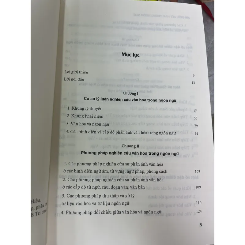 VĂN HOÁ VIỆT NAM TRONG NGÔN NGỮ 602993