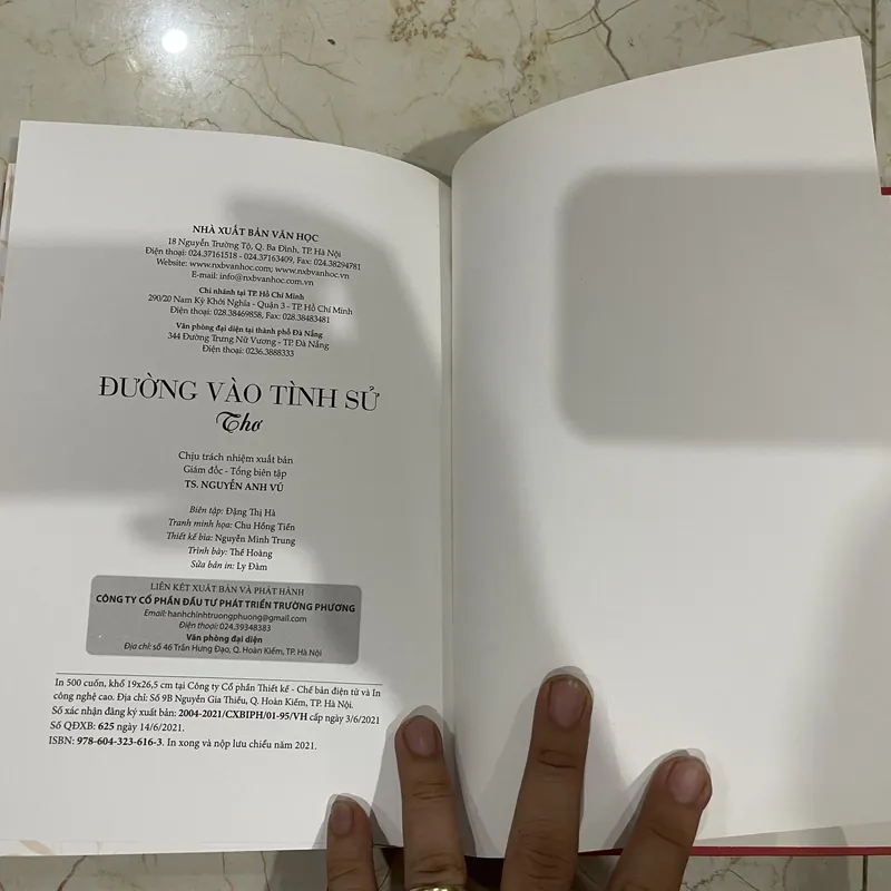 Đường Vào Tình Sử - Đinh Hùng  605089