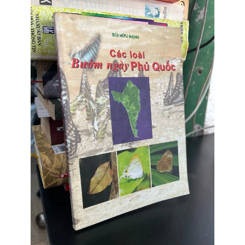 Các loài bướm ngày Phú Quốc - Bùi Hữu Mạnh 929881