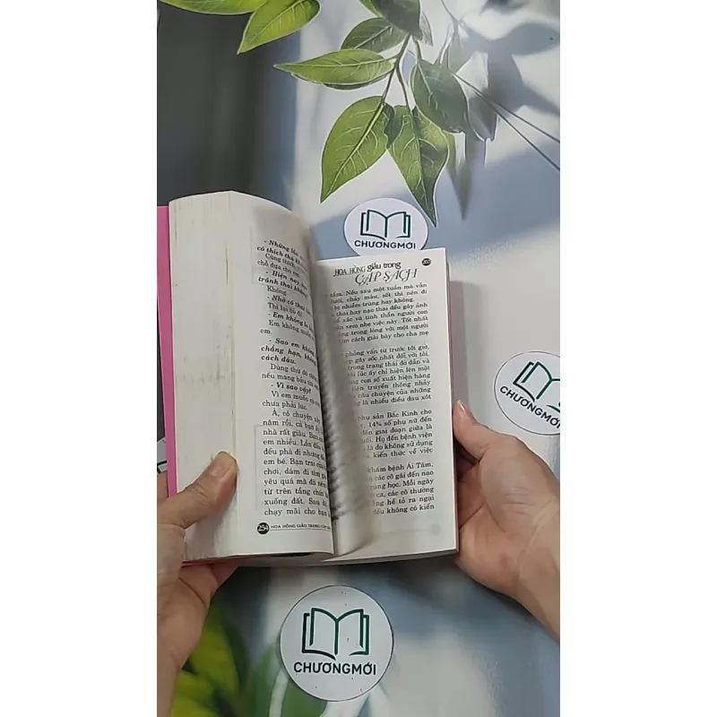 Hoa hồng dấu trong cặp sách - Tôn Văn Hiểu 688652