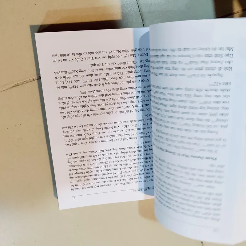 Vương quốc champa 605336