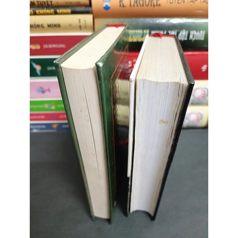 Linh Sơn & Thánh kinh của một con người 492747