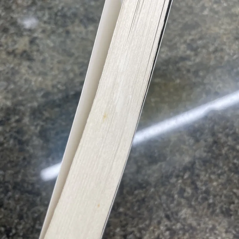 Broken windows, broken business Michael Levine 751278