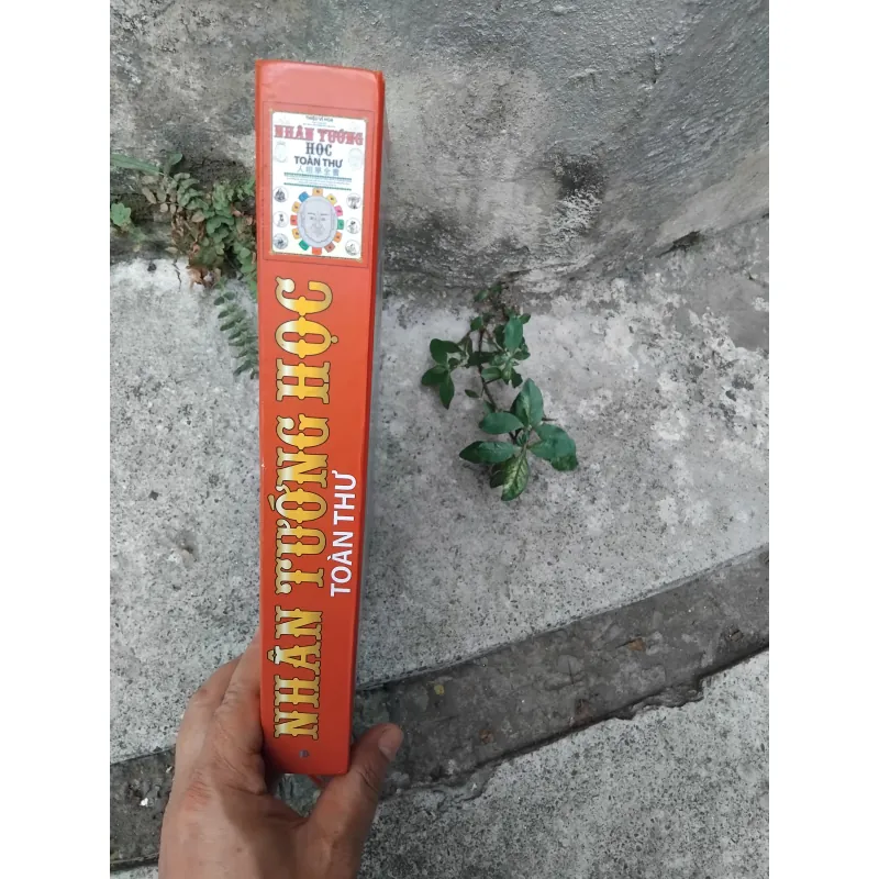 Nhân tướng học tòn thư của Thiệu Vĩ Hoa  1028224