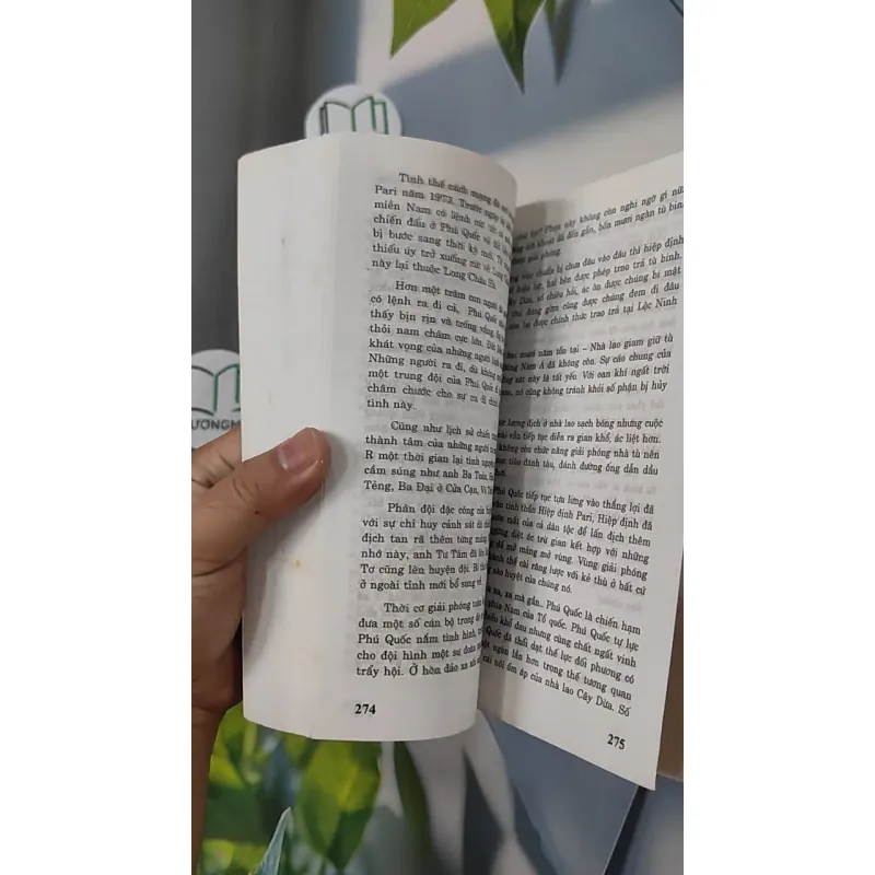 Nhà Lao Cây Dừa - Chu Lai 798338