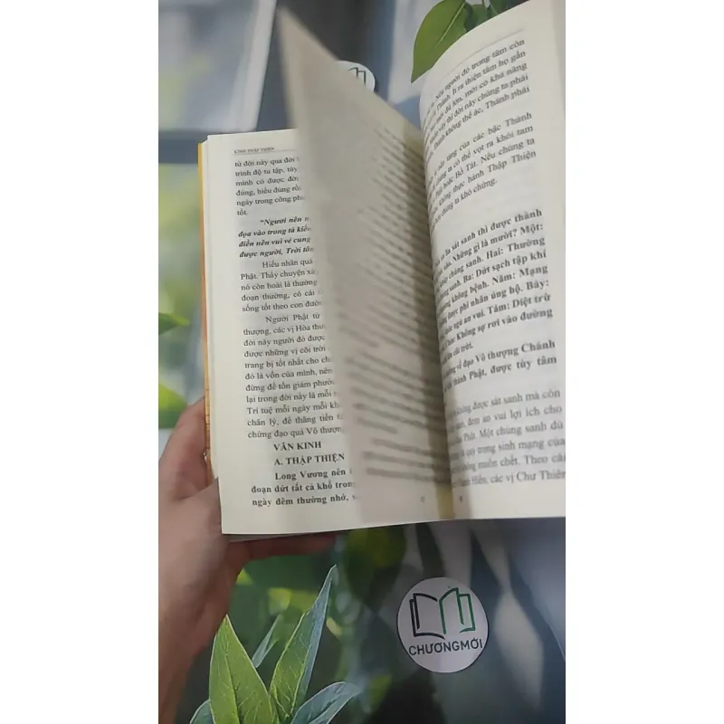 Kinh Thập Thiện Lược Giảng - TT. Thích Tuệ Hải 1018906