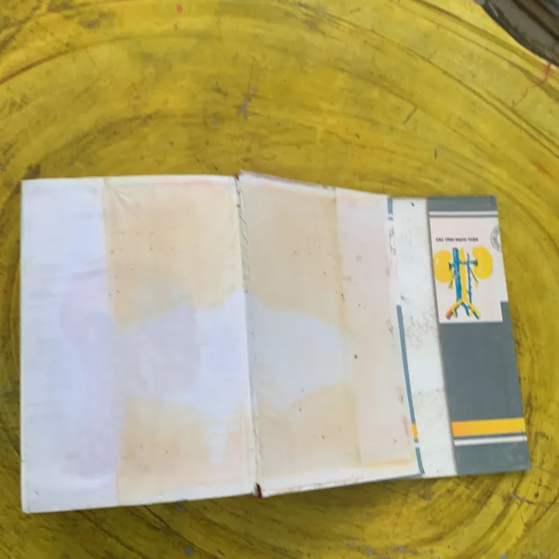 TỪ ĐIỂN Y HỌC ANH - VIỆT  nhà xuất bản từ điển Bách Khoa 790404