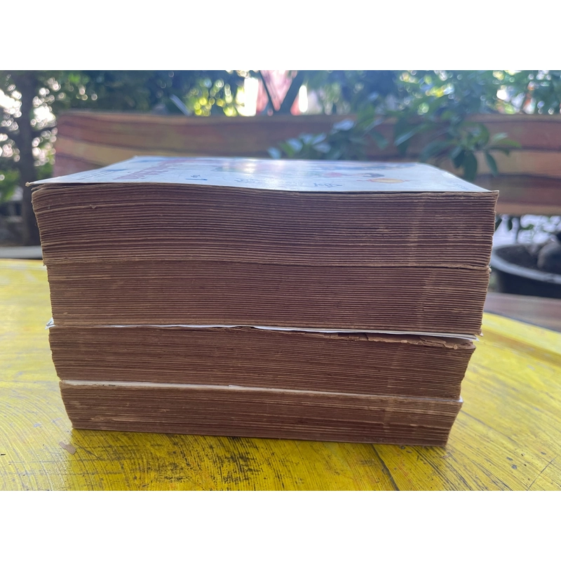 KIM BÌNH MAI- TIẾU TIẾU SINH 530790