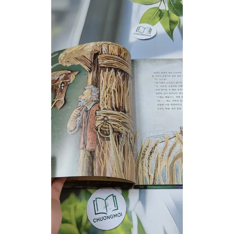 [Tặng nẹp góc] Truyện thiếu nhi Hàn Quốc: Moyamo Anu 35 -  모야모 아누와: 마법의 알 732032