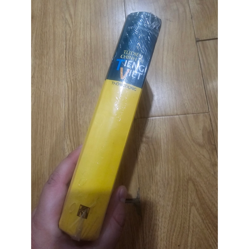 Từ điển chính tả tiếng Việt thông dụng (bìa cứng) 454490