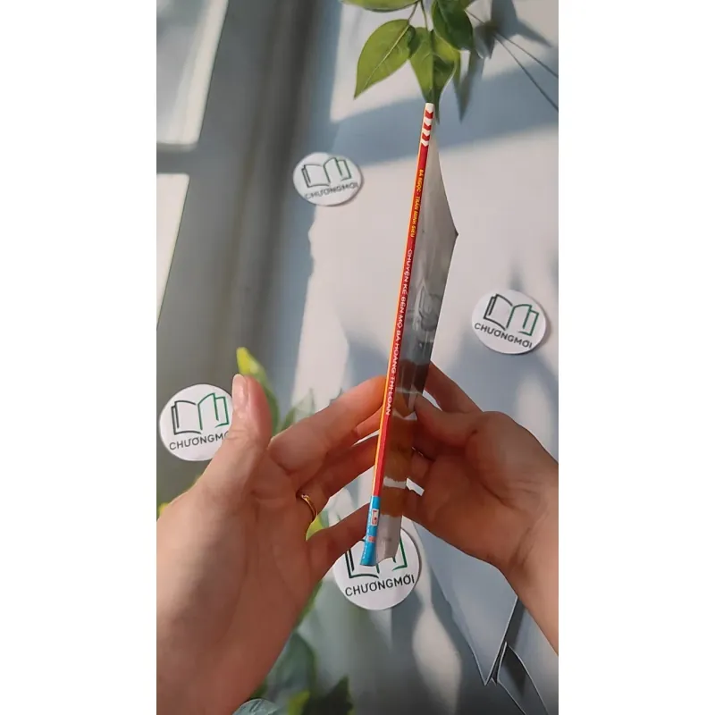 Chuyện Kể Bên Mộ Bà Hoàng Thị Loan - Bá Ngọc & Trần Minh Siêu 970228