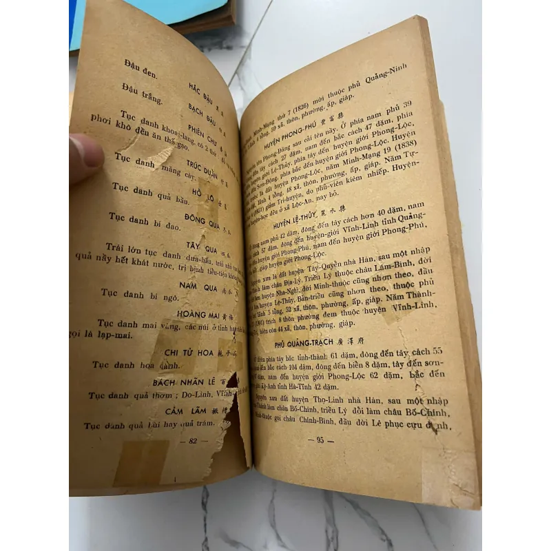 Đại-Nam Nhất-Thống-Chí (Tỉnh Quảng-Trị và Tỉnh Quảng-Bình) - Nguyễn-Tạo dịch 796959