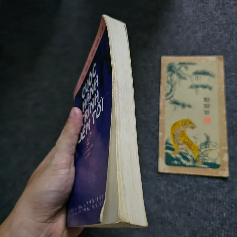 Cuộc hành trình đêm tối 734700