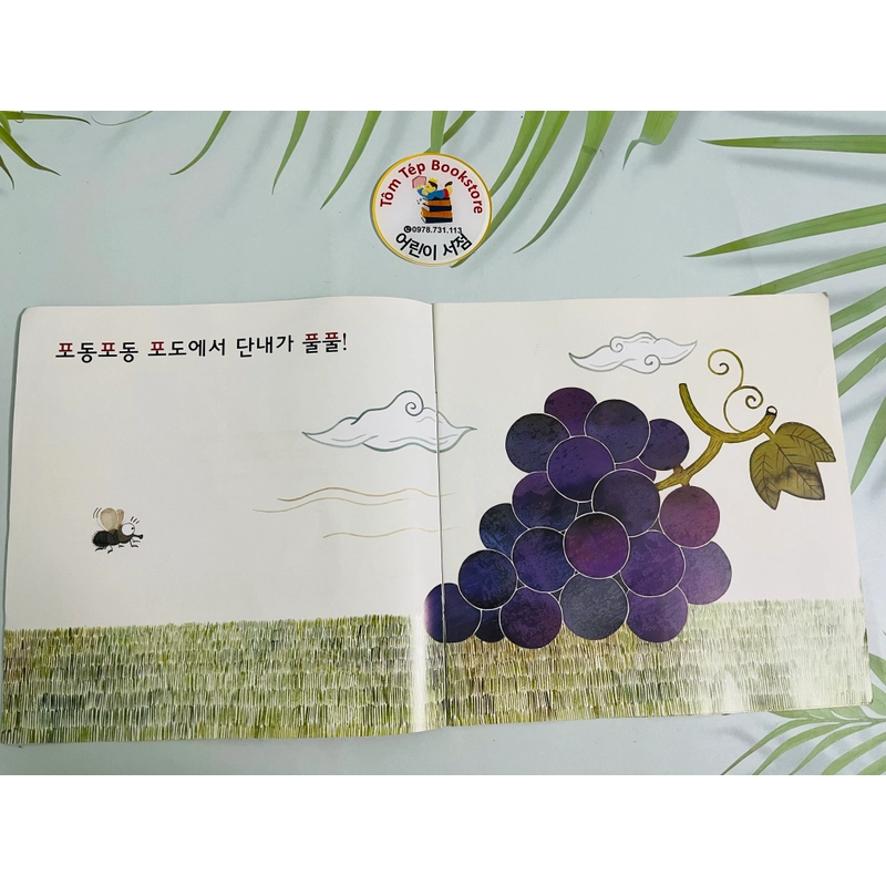 Set sách tiếng Hàn ít chữ 542021
