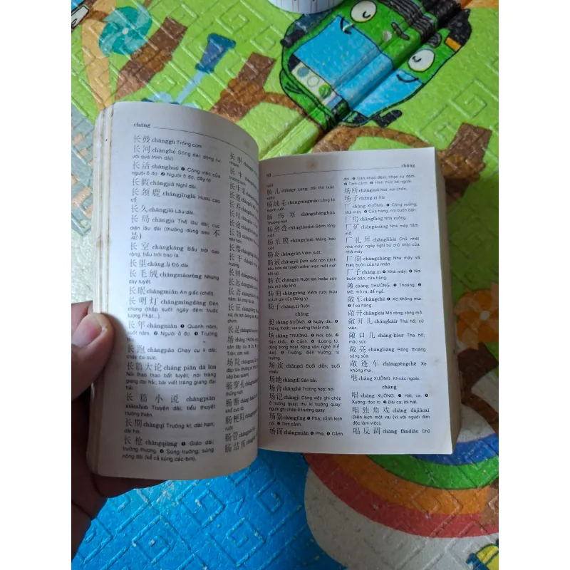 Từ Điển Trung - Việt 995067