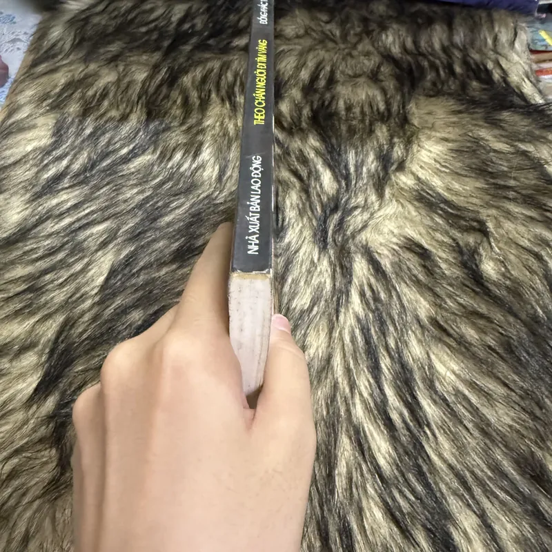 Theo chân người đi tìm vàng  599856