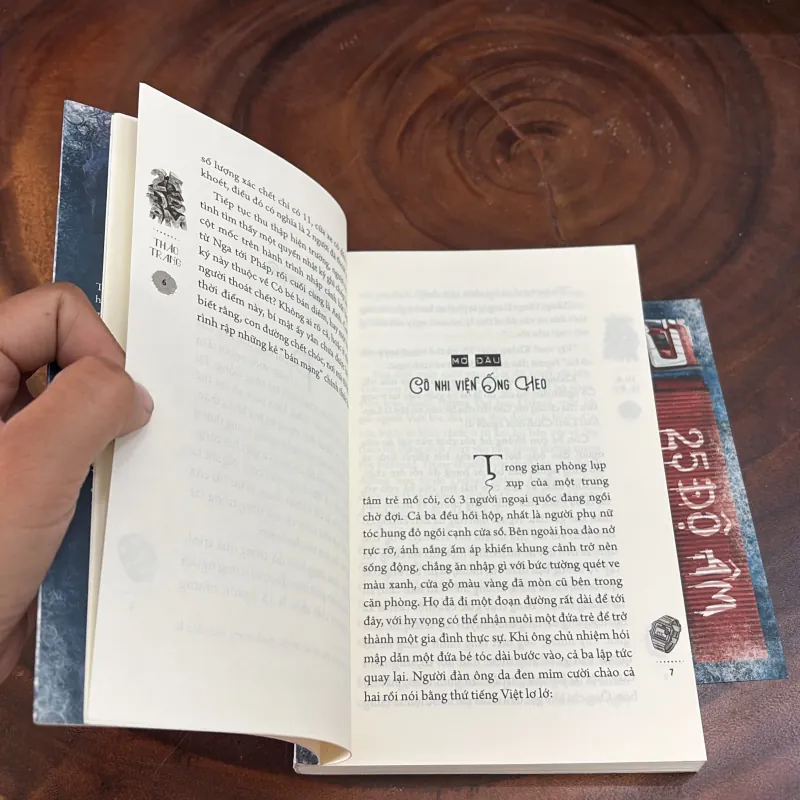 II Tiểu Thuyết: 25 Độ Âm - Thảo Trang - 2024 999239