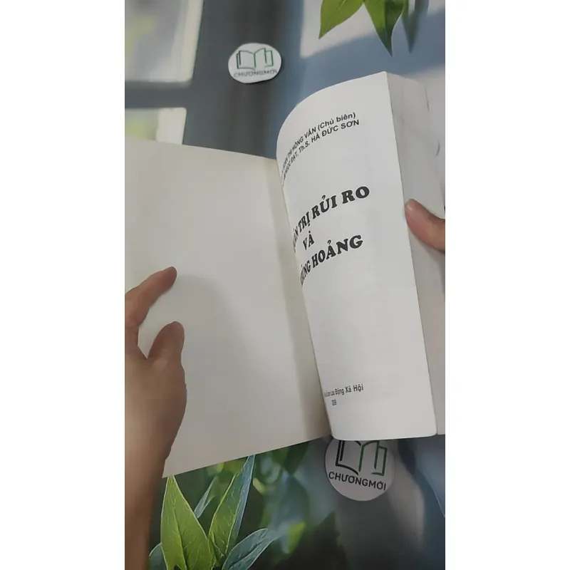 Quản Trị Rủi Ro & Khủng Hoảng - Đoàn Thị Hồng Vân & Kim Ngọc Đạt & Hà Đức Sơn 1018962