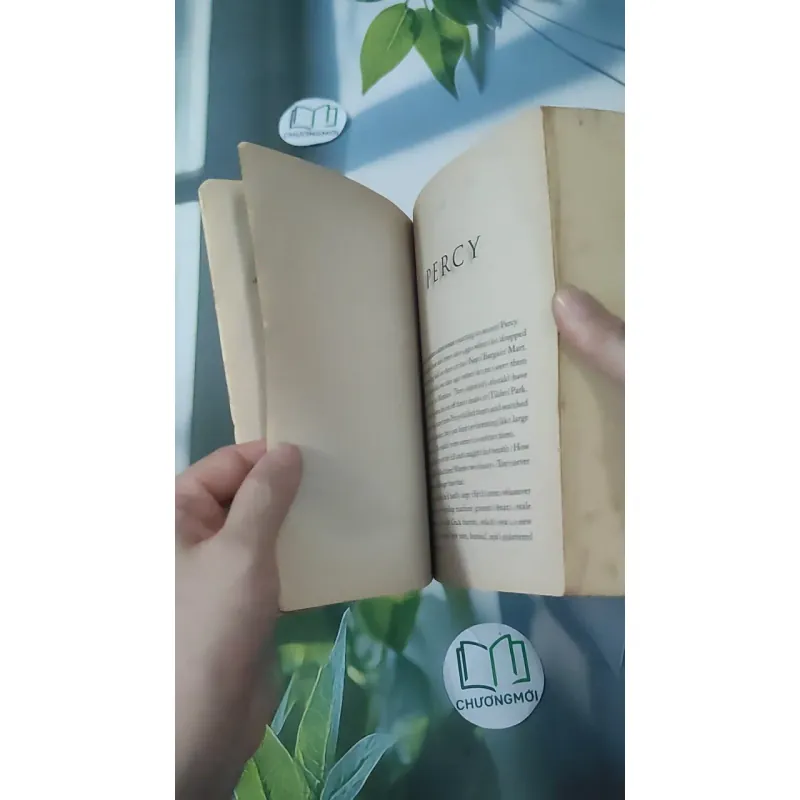The Son of Neptune - Rick Riordan 1033650