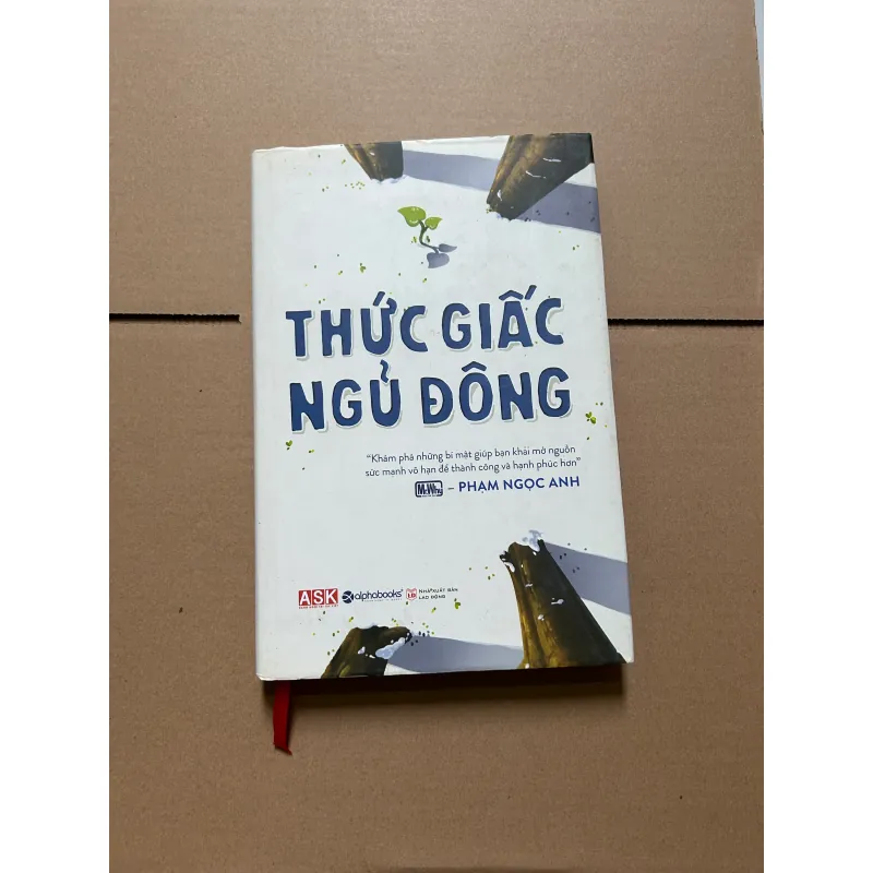 Thức giấc ngủ đông - Phạm Ngọc Anh 750103