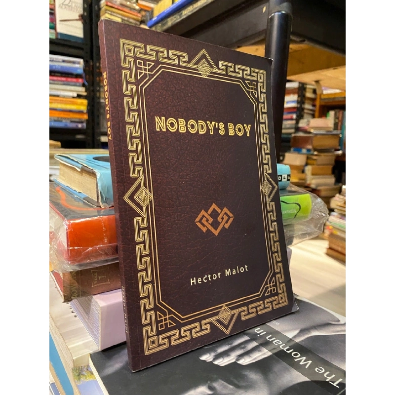 Nobody's Boy - Hector Malot 1028774