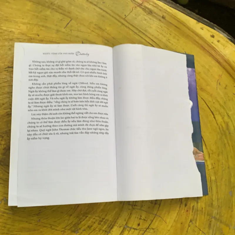  NGƯỜI TÌNH CỦA PHỤ NHÂN CHATTERLEY- D.H. LAWRENCE 747345