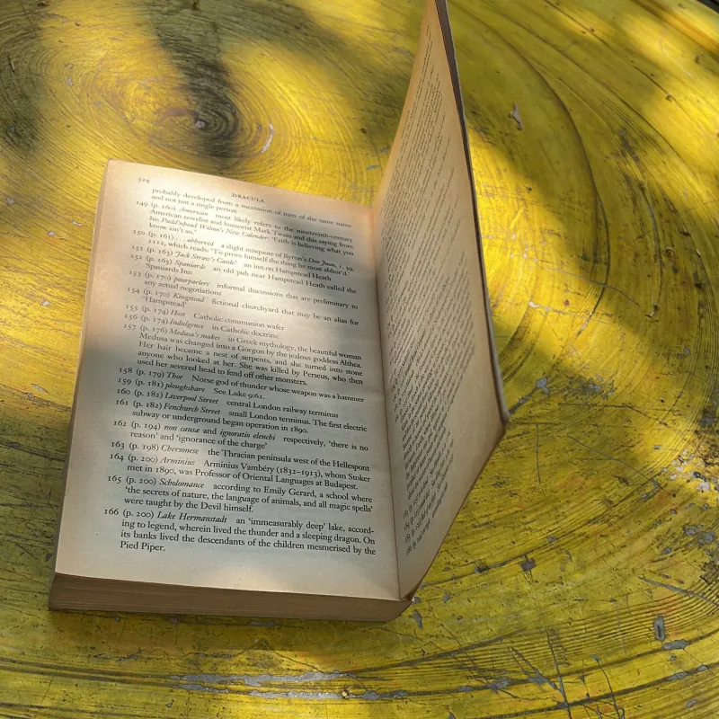 DRACULA - BRAM STOKER 763418