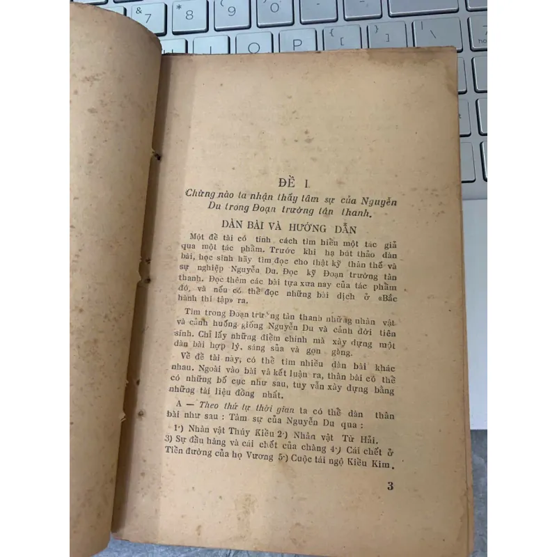 LUẬN ĐỀ VỀ NGUYỄN DU VÀ ĐOẠN TRƯỜNG TÂN THANH - NGUYỄN SỸ TẾ 734465
