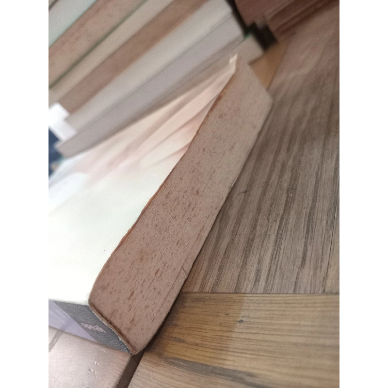 This lullaby - Sarah Dessen 789027