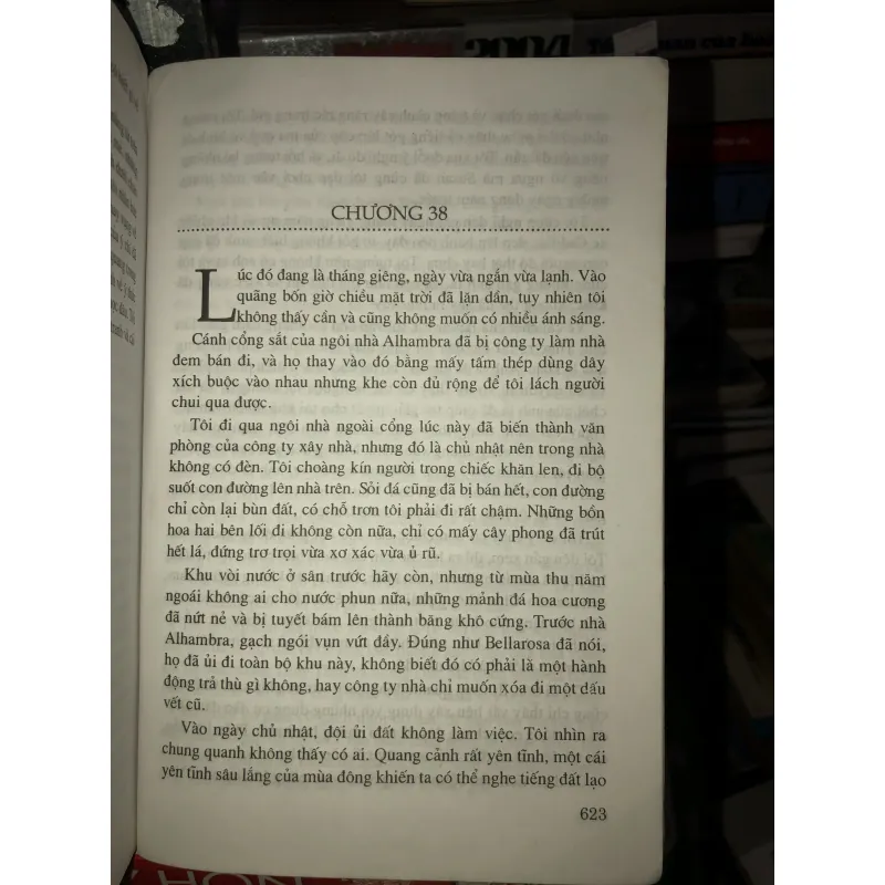 Bờ biển vàng - Nelson Demille 994700