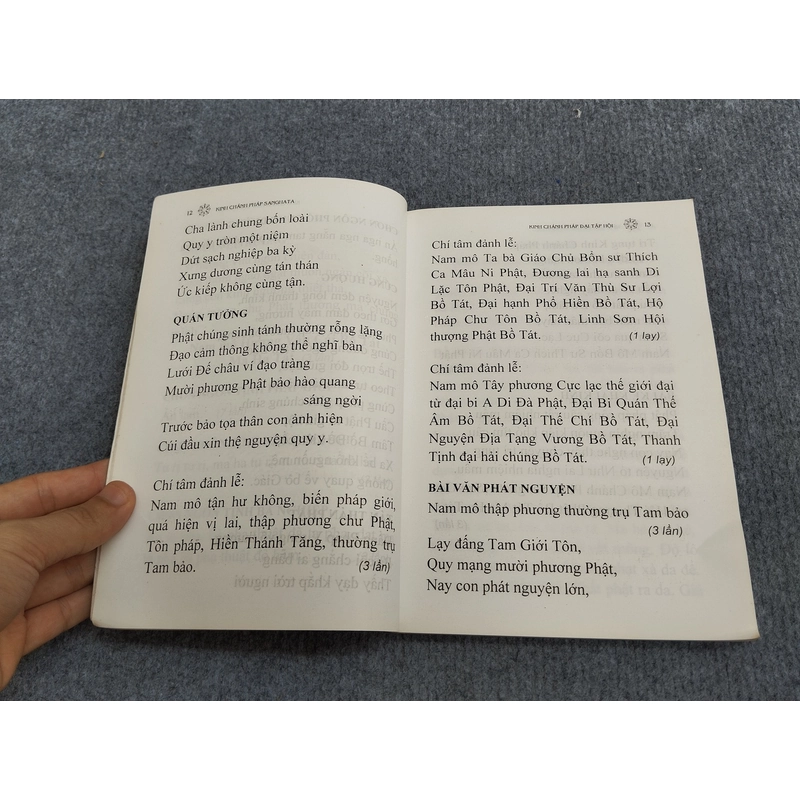 KINH CHÁNH PHÁP SANGHATA 494734