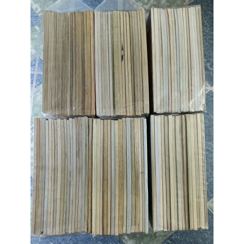 Bộ thần đồng đất Việt 228 tập + 5 cuốn thần đồng đất Việt Hoàng Sa Trường Sa 733379