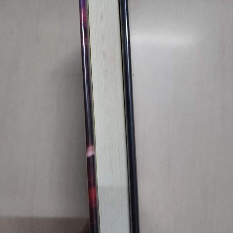 Sách Wild & Chance của Allen Zadoff mới 97% 508798