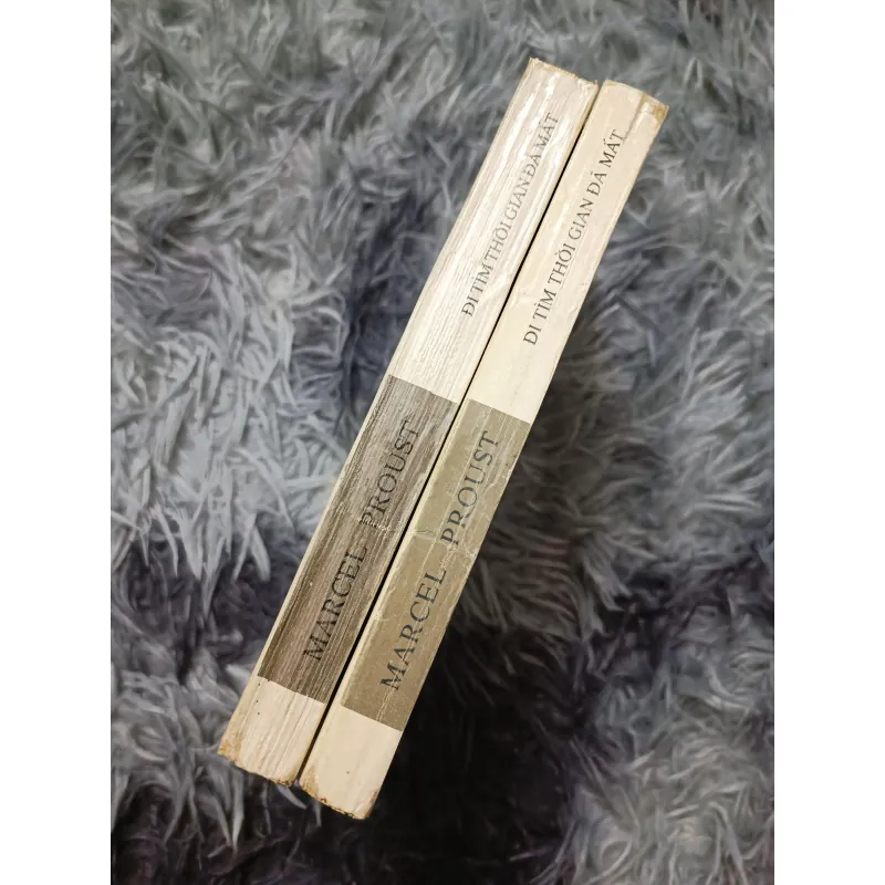 Đi tìm thời gian đã mất (Proust) 934466