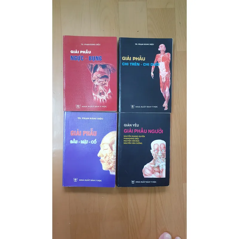 GIẢI PHẪU ĐẦU MẶT , NGỰC BỤNG, CHI TRÊN DƯỚI  760731