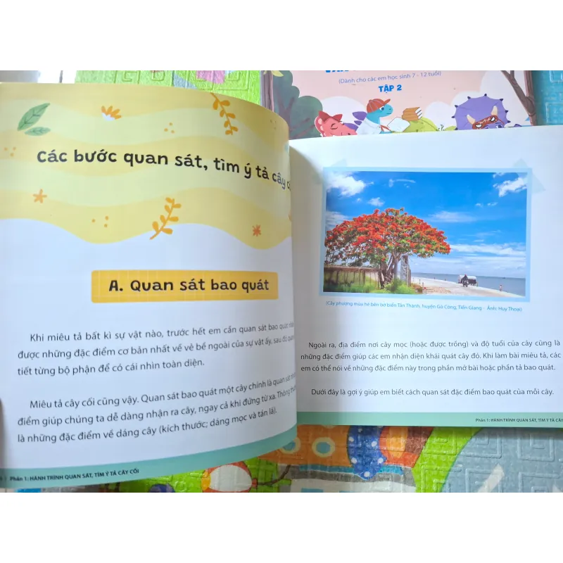 Khám phá thế giới thực vật & Chinh phục văn miêu tả cây cối (bộ 2 tập) 782448