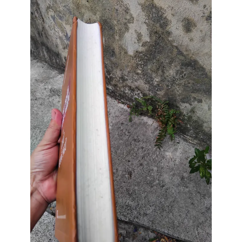 Dinh trấn Thanh Chiêm và chữ Quốc ngữ  1026084