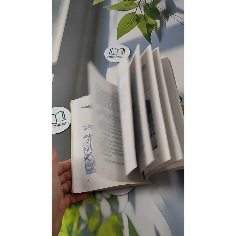 Thương Yêu Sự Sống - Tấn An 727266