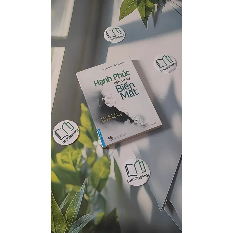 Hạnh Phúc Đến Từ Sự Biến Mất - Ajahn Brahm 961190