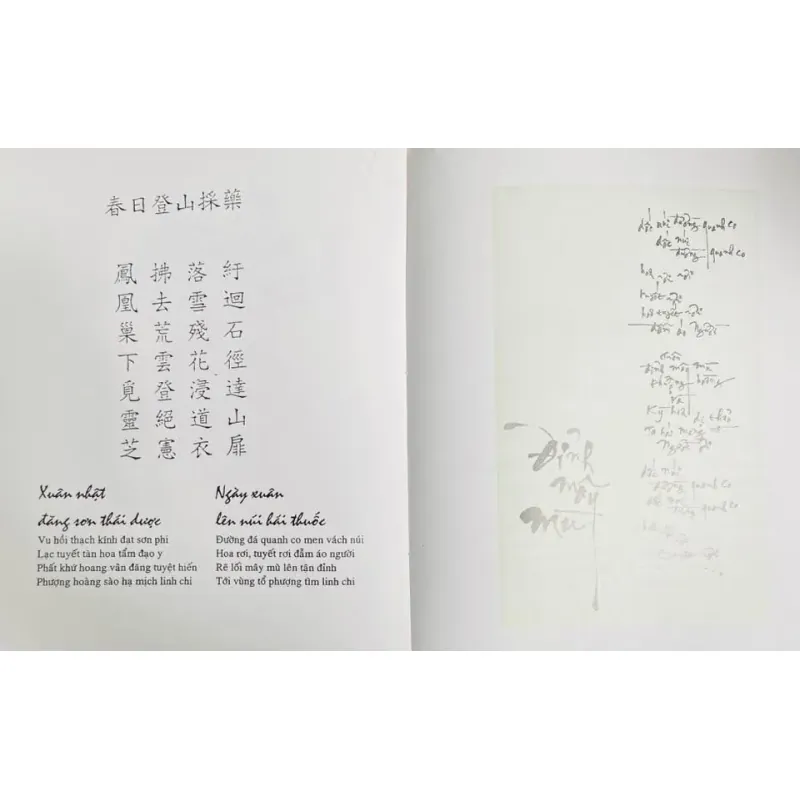 Y Đạo Ca - Trương Thìn 788661