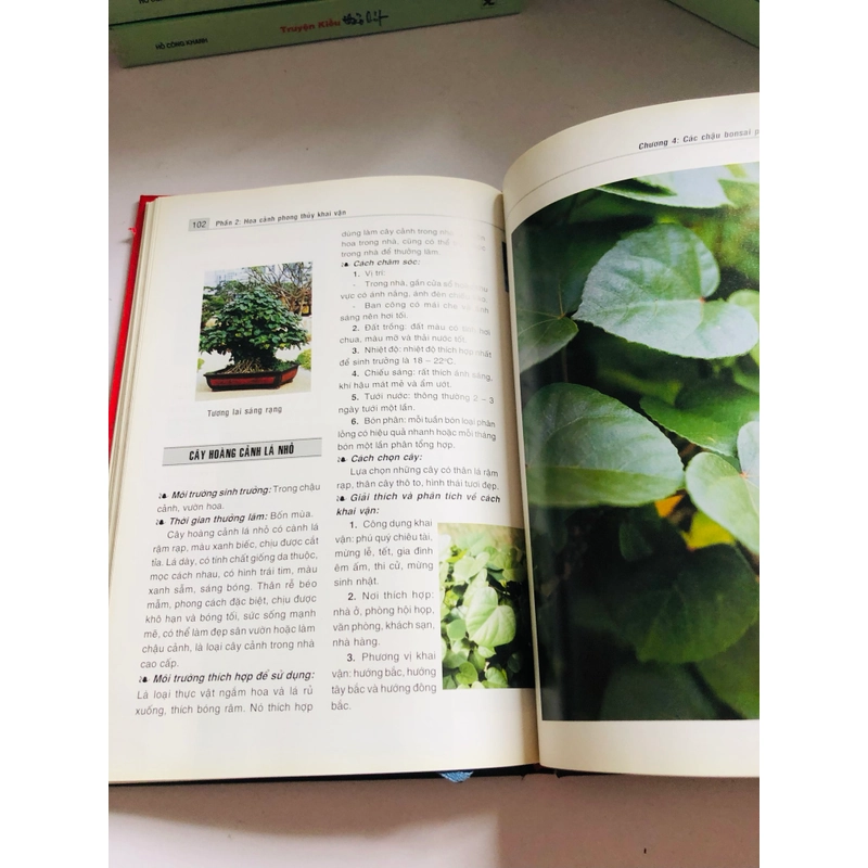 HOA CẢNH ỨNG DỤNG TRONG PHONG THUỶ 539390